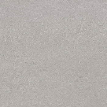 Ergon Stone Talk Minimal Grey Naturale 60x60 / Эргон Стоун Тальк Минимал Грей Натуралье 60x60 